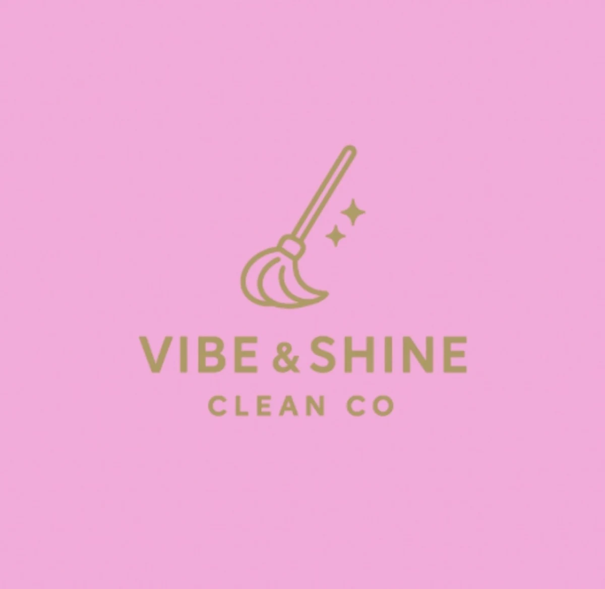Vibe N Shine Clean Co logo